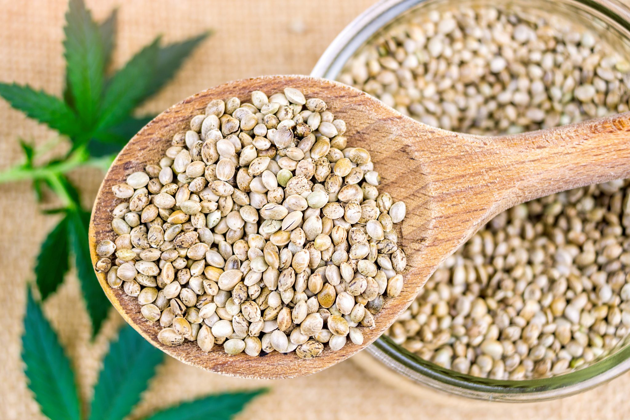 Is Hemp Protein Powder Good For You Neato Nutrition